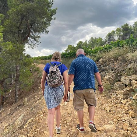 Les Volets Lavande Aubignan Esterno foto