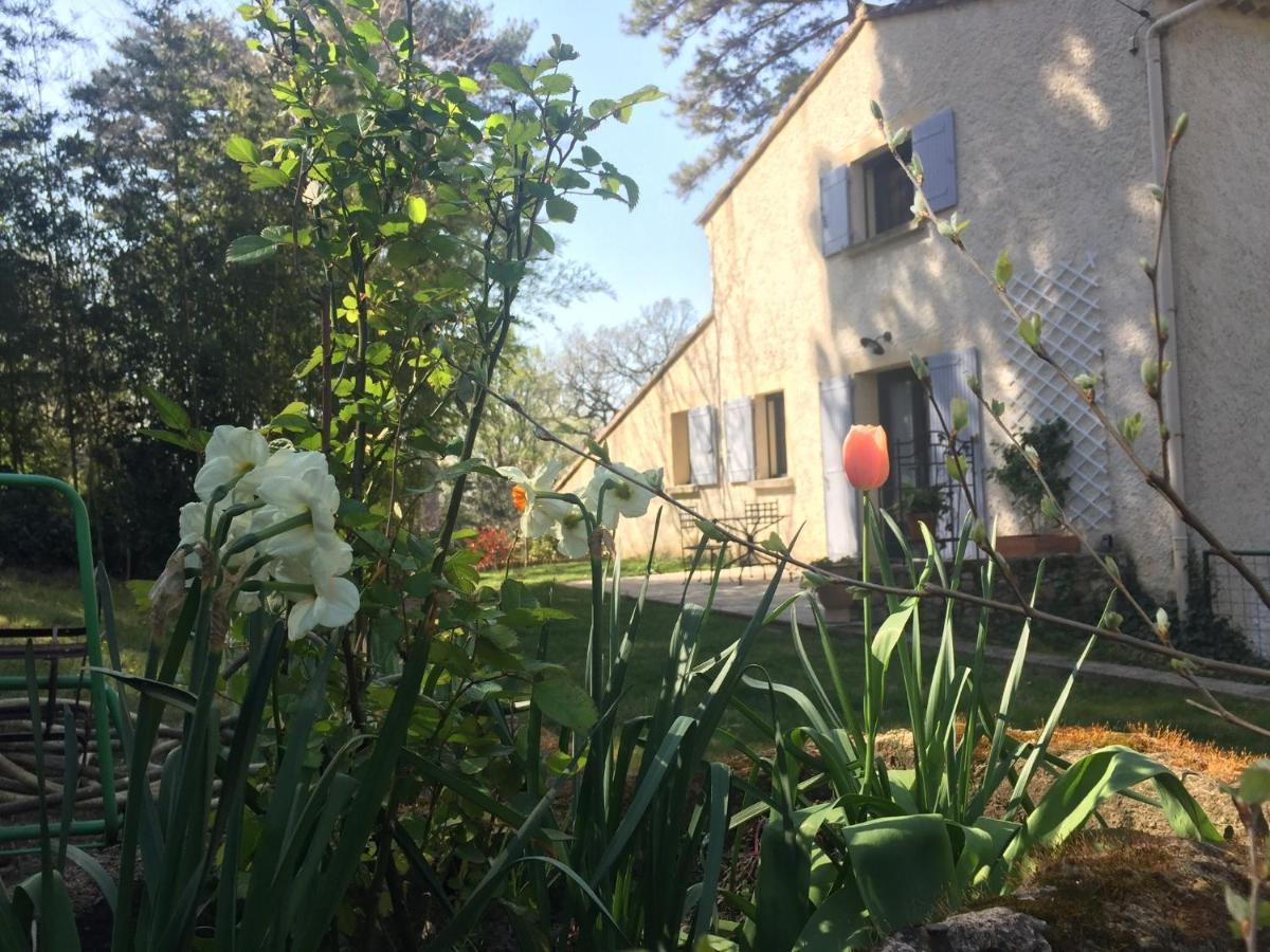 Les Volets Lavande Aubignan Esterno foto
